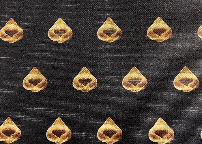 公寓 Altana House Tortellinosuite *